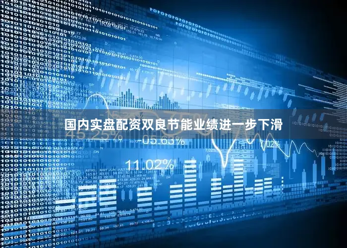 国内实盘配资双良节能业绩进一步下滑