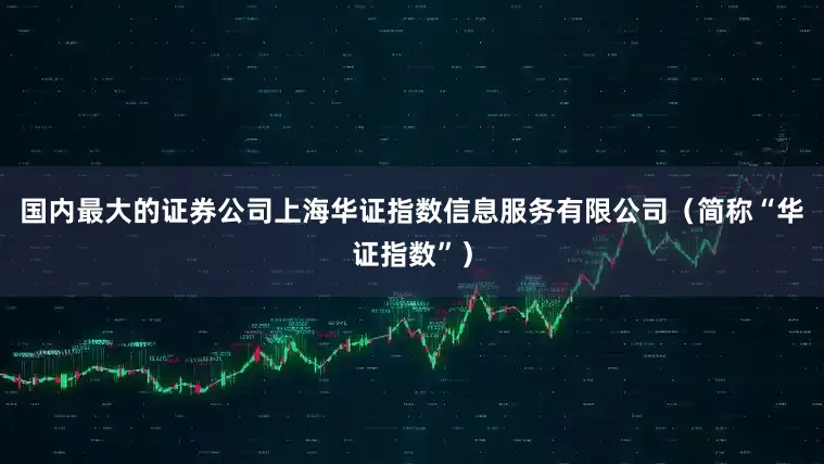 国内最大的证券公司上海华证指数信息服务有限公司（简称“华证指数”）