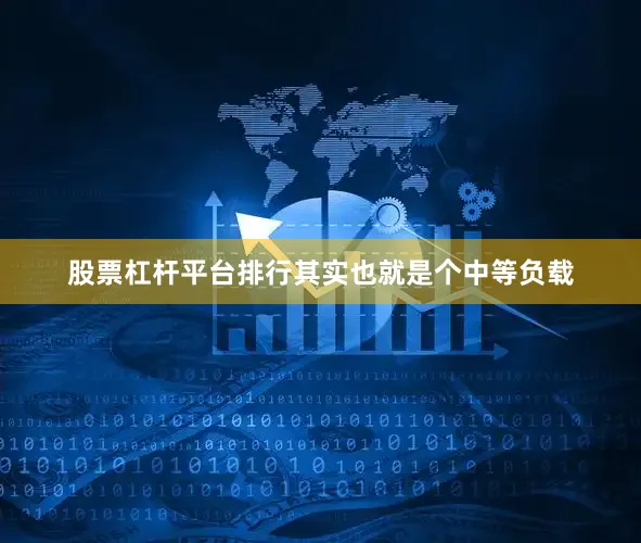 股票杠杆平台排行其实也就是个中等负载