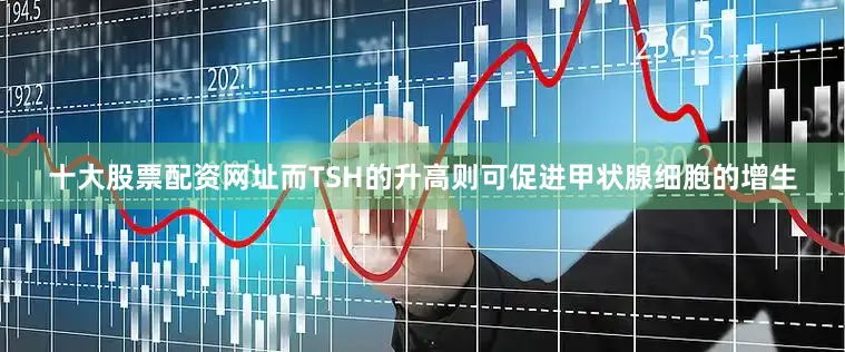 十大股票配资网址而TSH的升高则可促进甲状腺细胞的增生