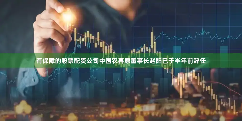 有保障的股票配资公司中国农再原董事长赵阳已于半年前辞任