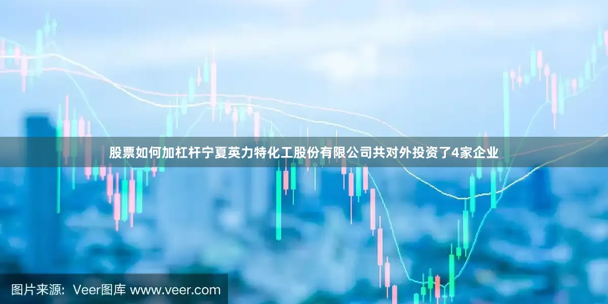 股票如何加杠杆宁夏英力特化工股份有限公司共对外投资了4家企业