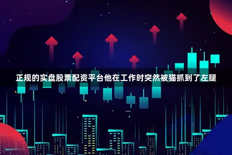 正规的实盘股票配资平台他在工作时突然被猫抓到了左腿