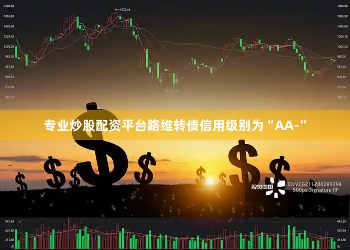 专业炒股配资平台路维转债信用级别为“AA-”