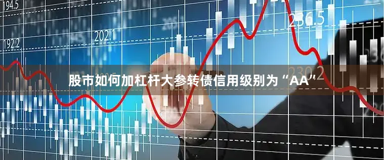 股市如何加杠杆大参转债信用级别为“AA”