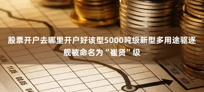 股票开户去哪里开户好该型5000吨级新型多用途驱逐舰被命名为“崔贤”级