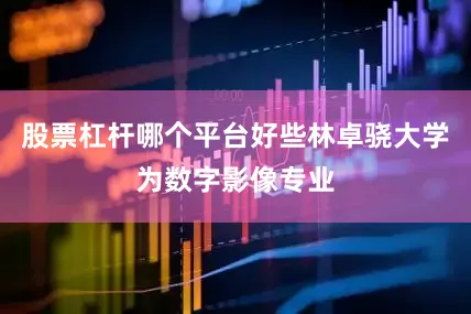 股票杠杆哪个平台好些林卓骁大学为数字影像专业